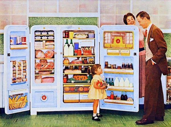 refridgerator-1024x764.jpg
